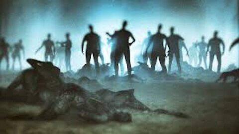 Documentary / Zombies II (Documentary)
