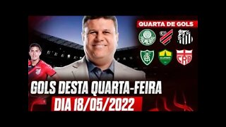 TODOS OS GOLS DESTA QUARTA FEIRA 18/05/2022 GOLS DA LIBERTADORES SULAMERICANA BRASILEIRÃO E+