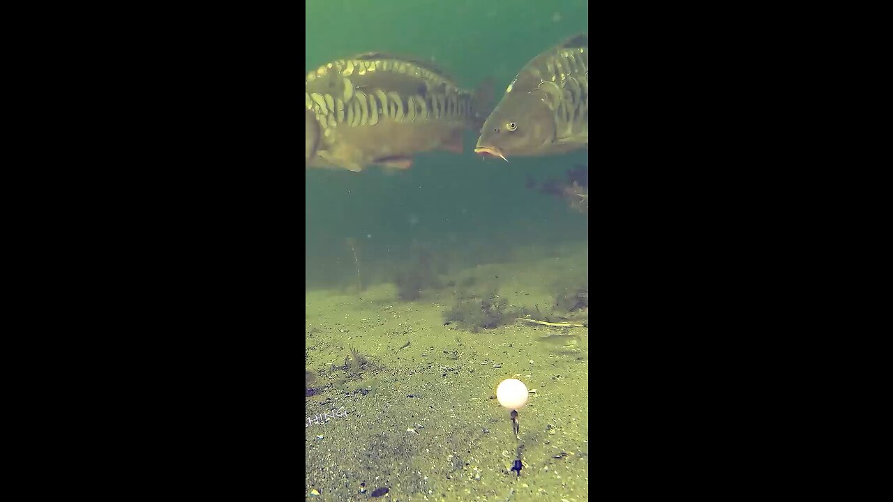 So close
