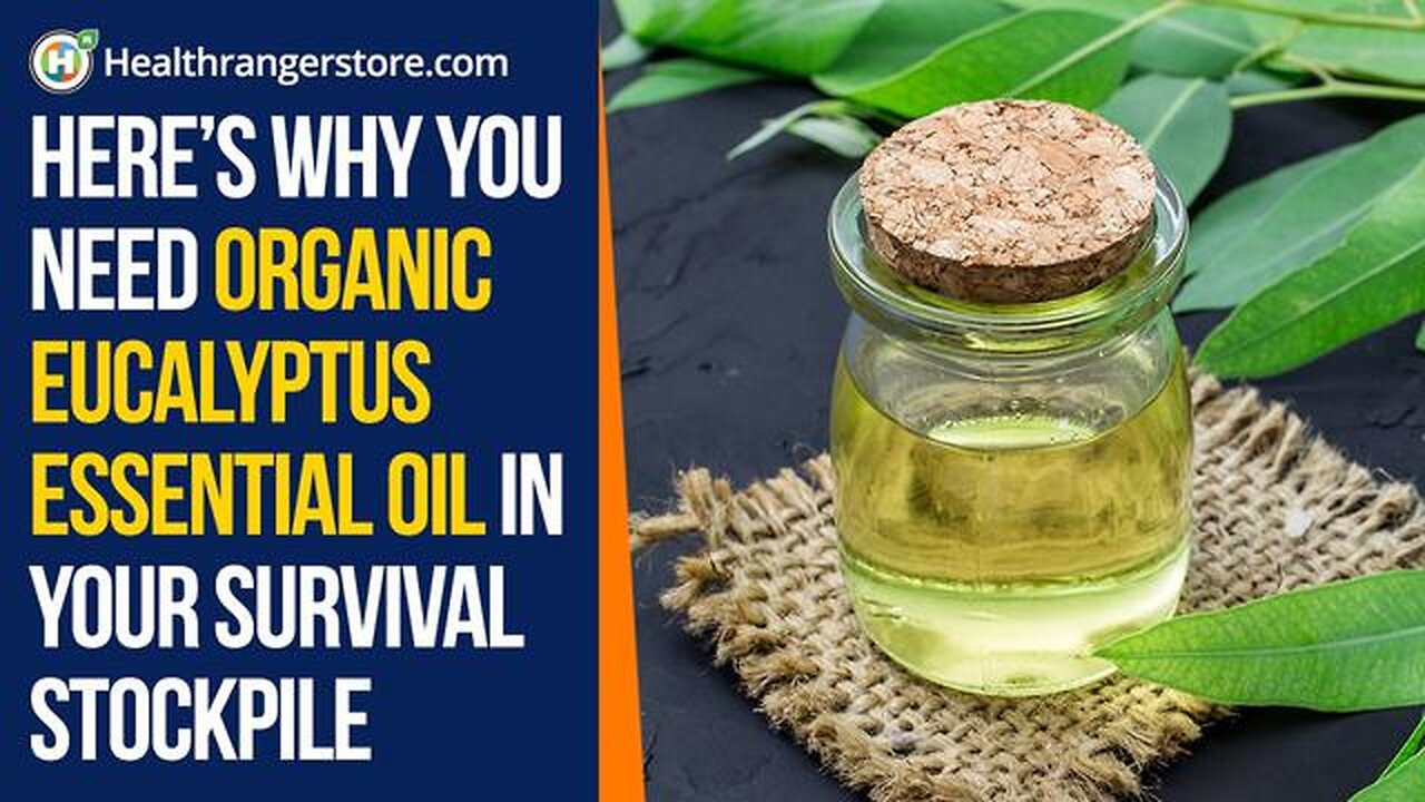 Here’s why you need Organic Eucalyptus Essential Oil in your survival stockpile