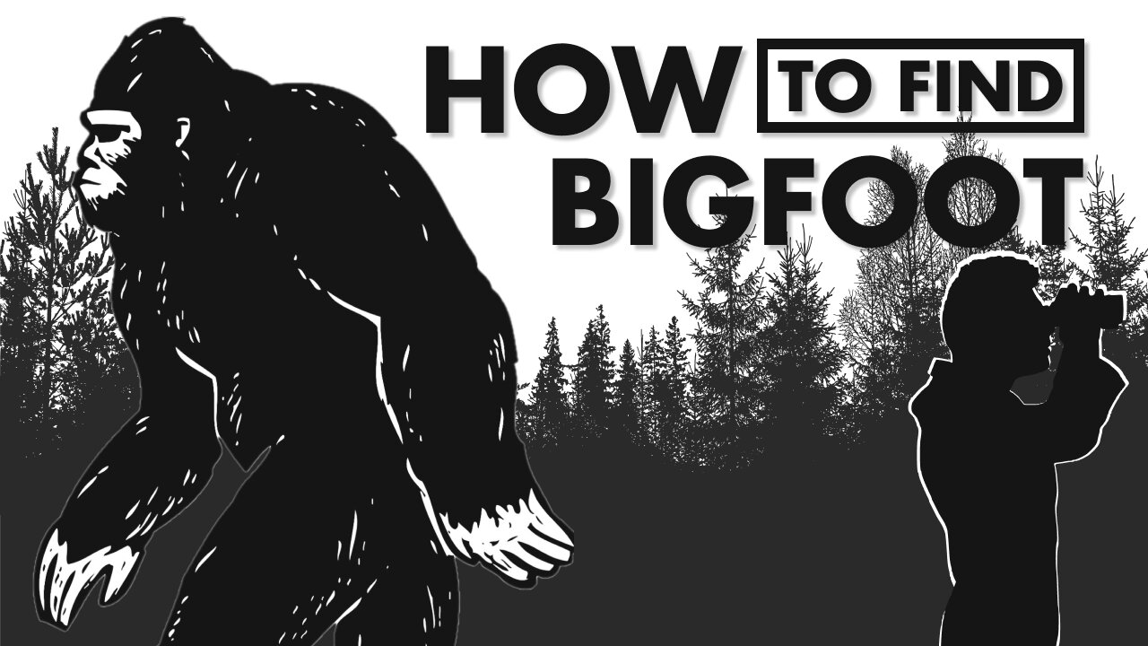 How To Find Bigfoot