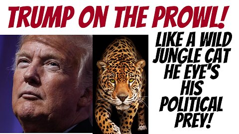 Trump's back! A hard hitting look at what we've been missing out on!