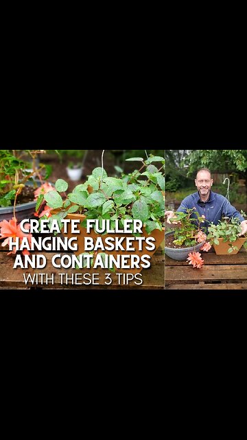 😀 Create Fuller Hanging Baskets and Containers With These 3 Tips #shorts 😀