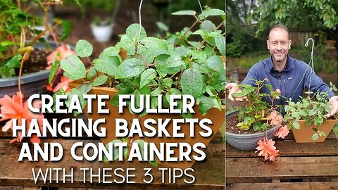 😀 Create Fuller Hanging Baskets and Containers With These 3 Tips #shorts 😀