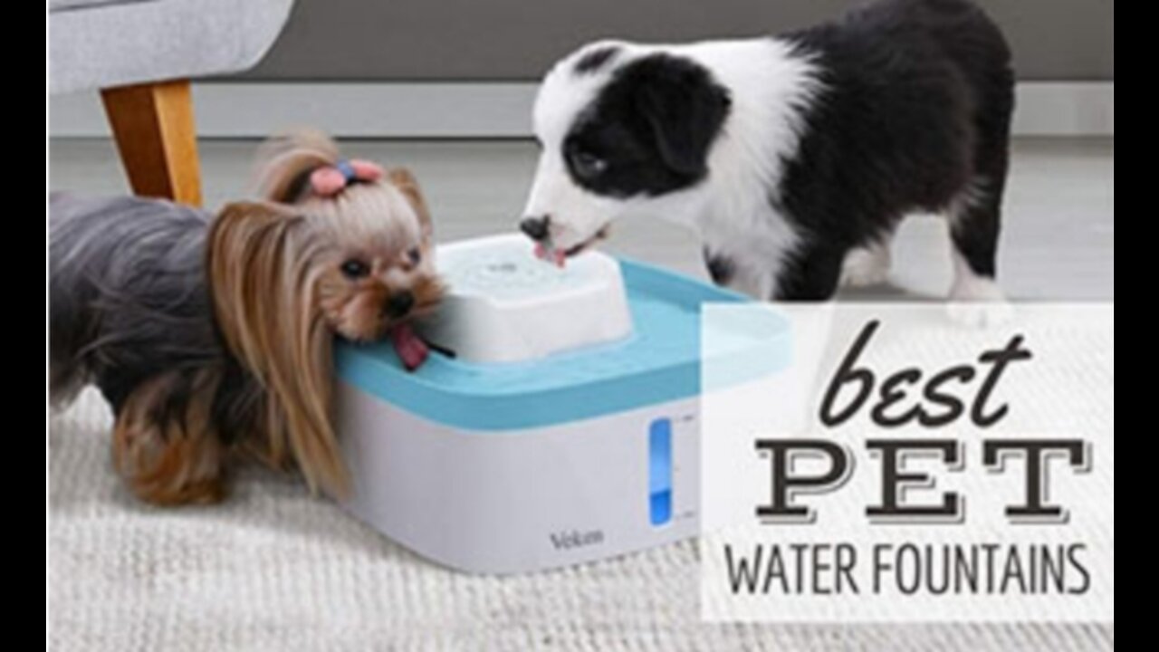 Pet Water Fountain, Cool Blue for dogs cordless battery operated (link in description)