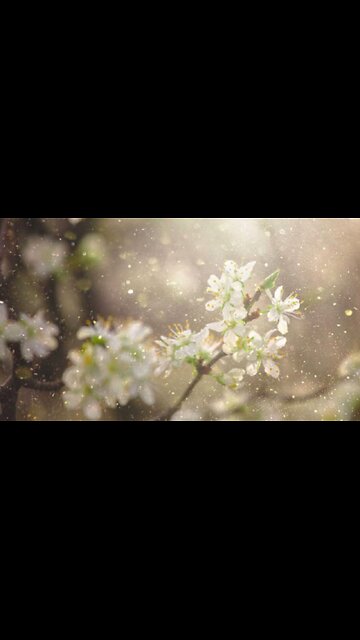 how do you respond to allergens?