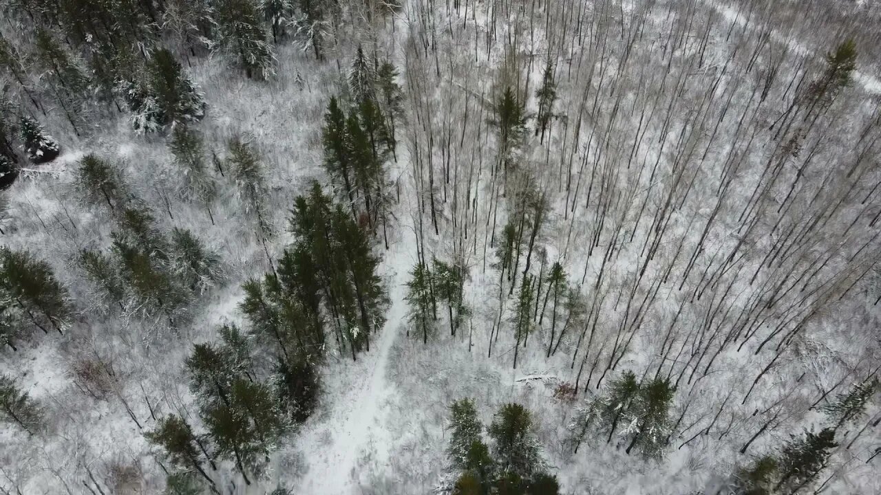 Minnesota Hunt Scouting - DJI Drone