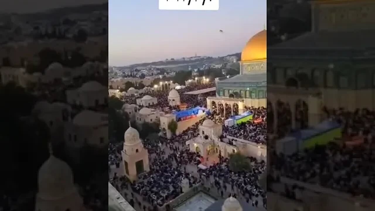 الحلم الإسلامى 🥰🌹#النصر #الله #الله اكبر #فلسطين🇵🇸 #فلسطين #القدس الحلم هذا تحلم فيه