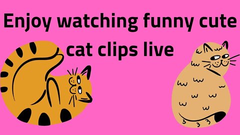 Watch by watching funny cute cat clips live broadcast