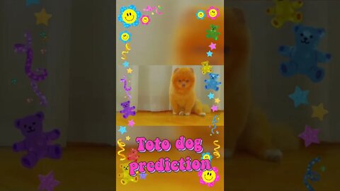 Cute toto dog short video,#shorts,#totodog,#ladyhug,#animal,#animallover,#doglover,#viralshorts