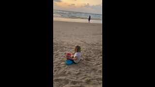 Dassie playing in the sand Netanya Beach