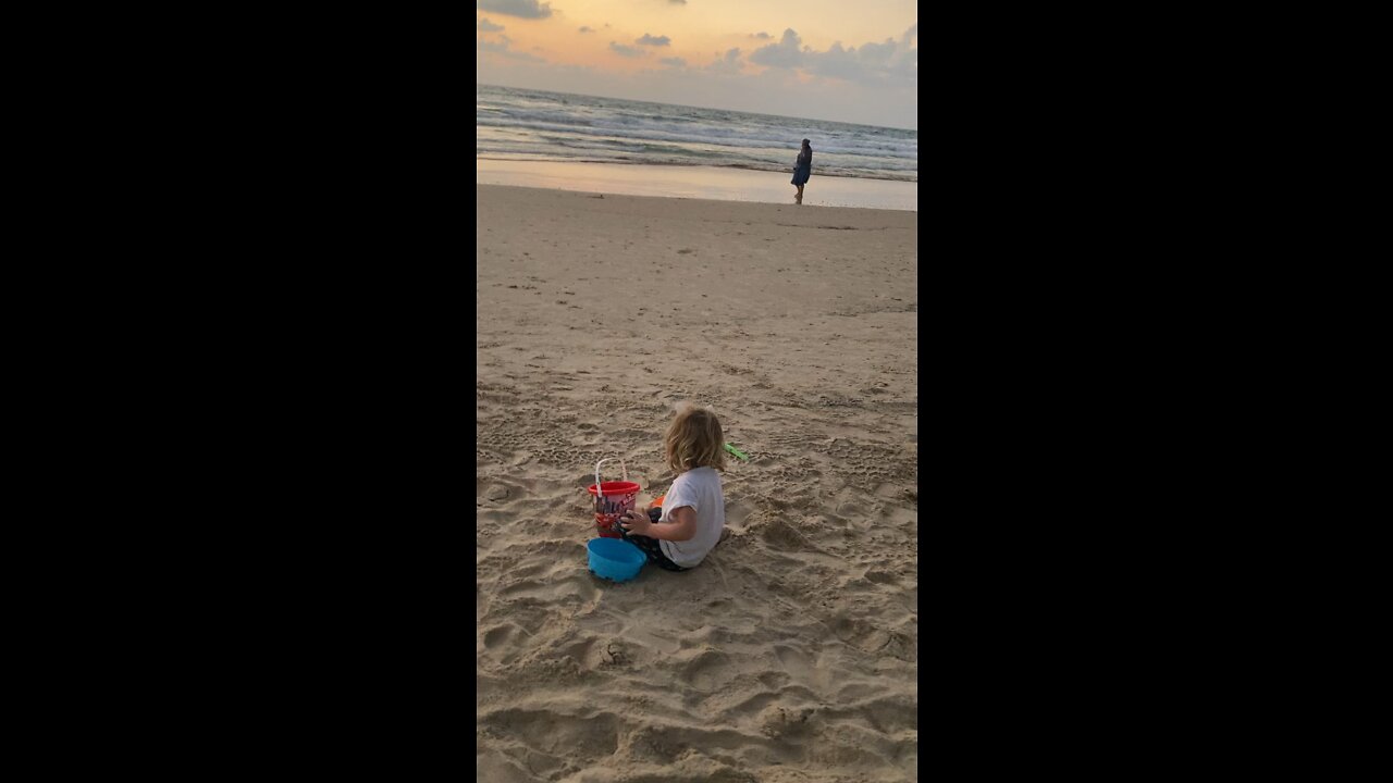 Dassie playing in the sand Netanya Beach