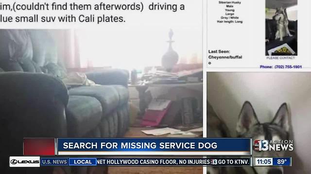 Owner of Husky that escaped 'doggie daycare' thinks she knows who has her missing dog