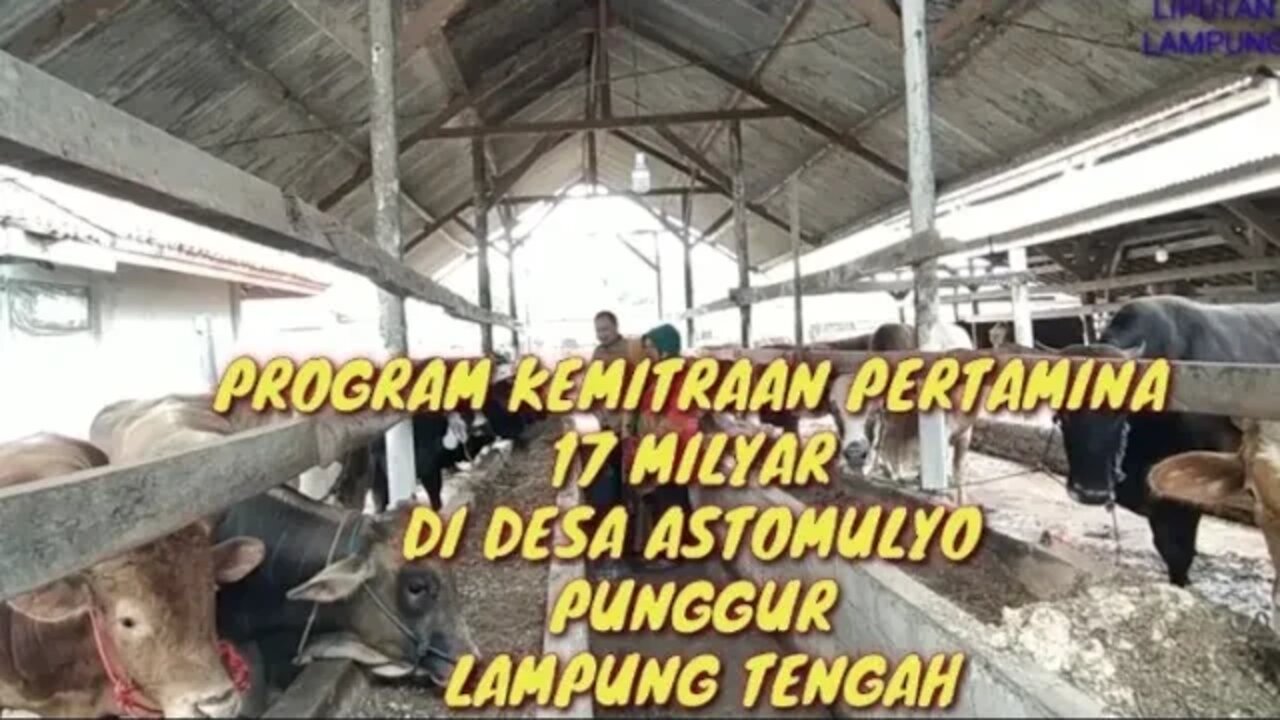 PERTAMINA SALURKAN 17 MILYAR PROGRAM KEMITRAAN DI DESA ASTO MULYO PUNGGUR LAMPUNG TENGAH