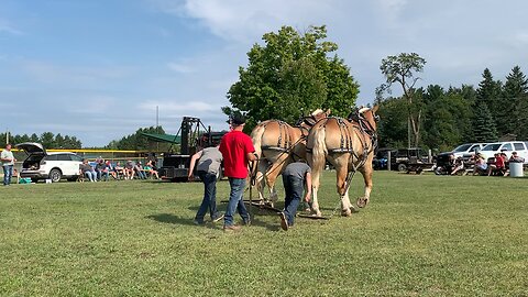 Horse pulls