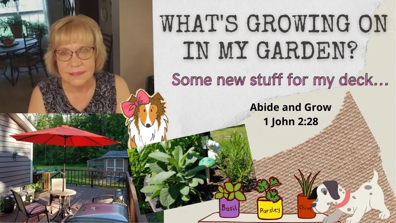 What's Growing On In My Garden?⛱️ Some New Stuff For My deck🕊️ Abide and Grow