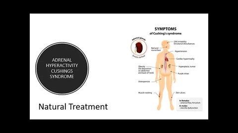 Adrenal Hyperactivity - Cushings Syndrome - Natural Treatment