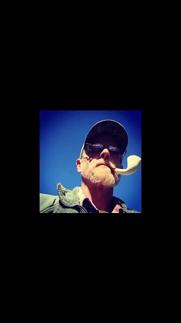 Just for International Snipe Poking Day