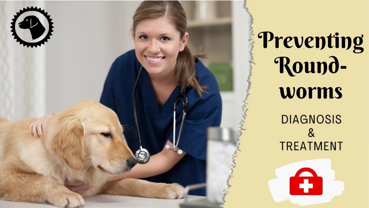 ROUNDWORMS IN DOGS - Detecting And Preventing Roundworms | DOG HEALTH 🐶 Brooklyn's Corner