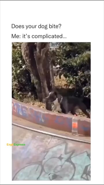 Prank gone wrong‼️