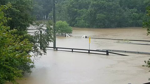 Flash flooding. Horses were saved from drowning.