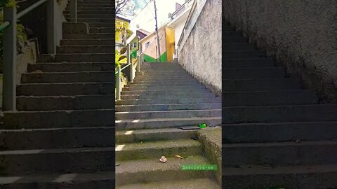 Bora Bill Desafio da Escadaria
