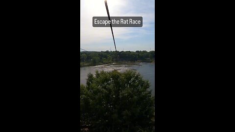 Enjoy Life - Escape the Rat Race