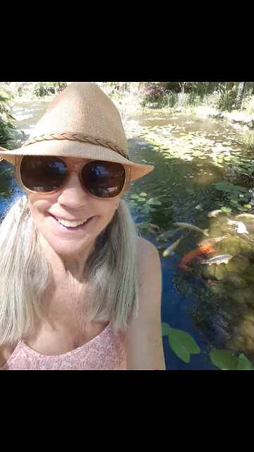 Eden Gardens~ Coy fish