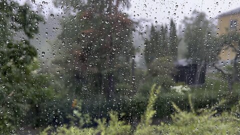 Rain sound on the window - cozy moment