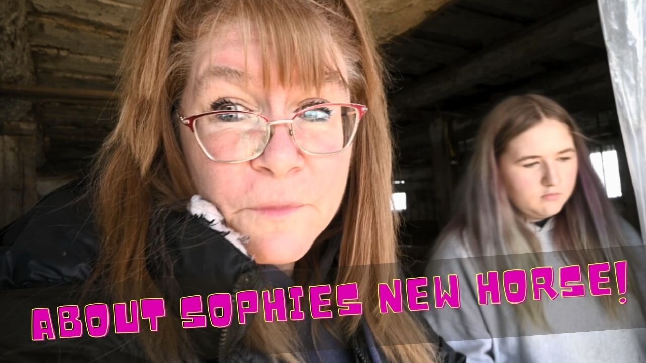 It's Horse Shopping Time!