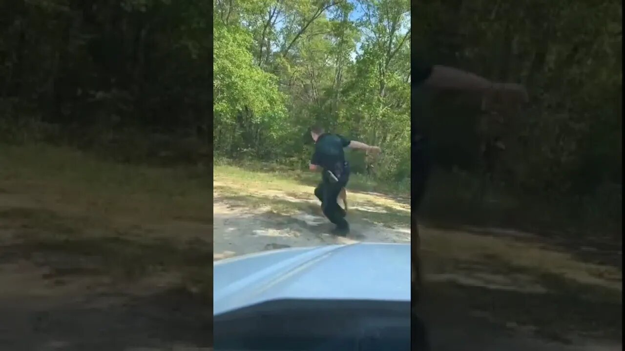 INCREVA POR FAVOR - ENTRETENIMENTO