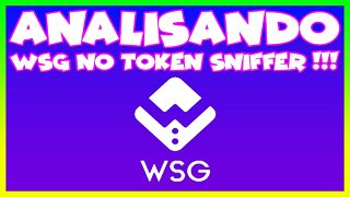 ANALISANDO WSG NO TOKEN SNIFFER !!!