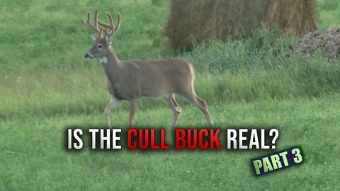 The Truth About Cull Bucks | Part 3