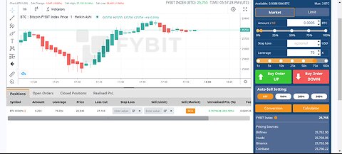 300% FYBIT WIN $20,000 BITCOIN PROFITS IN MINUTES