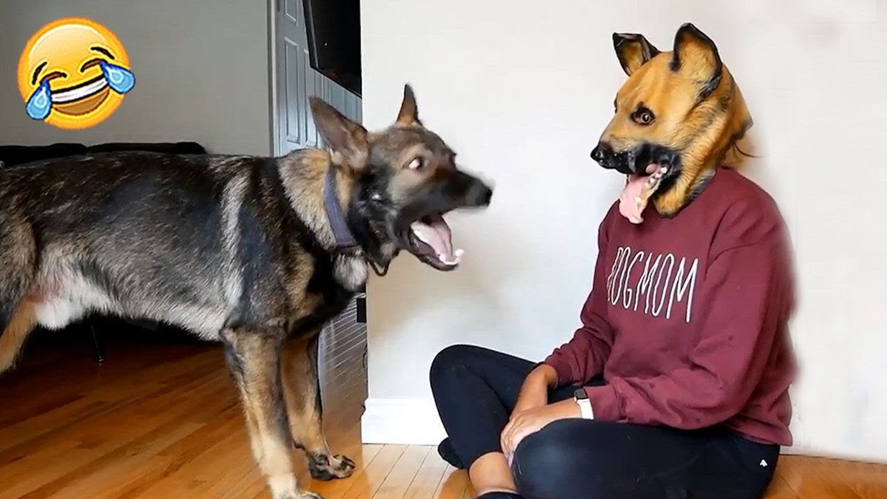 See How This Dog Reacted When It Saw ...