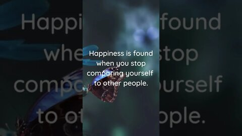 Finding Happiness