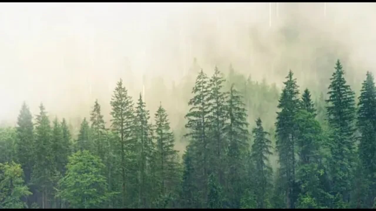 Relaxing Music & Rain Sounds Beautiful Piano Music, Background Music, Sleep Music