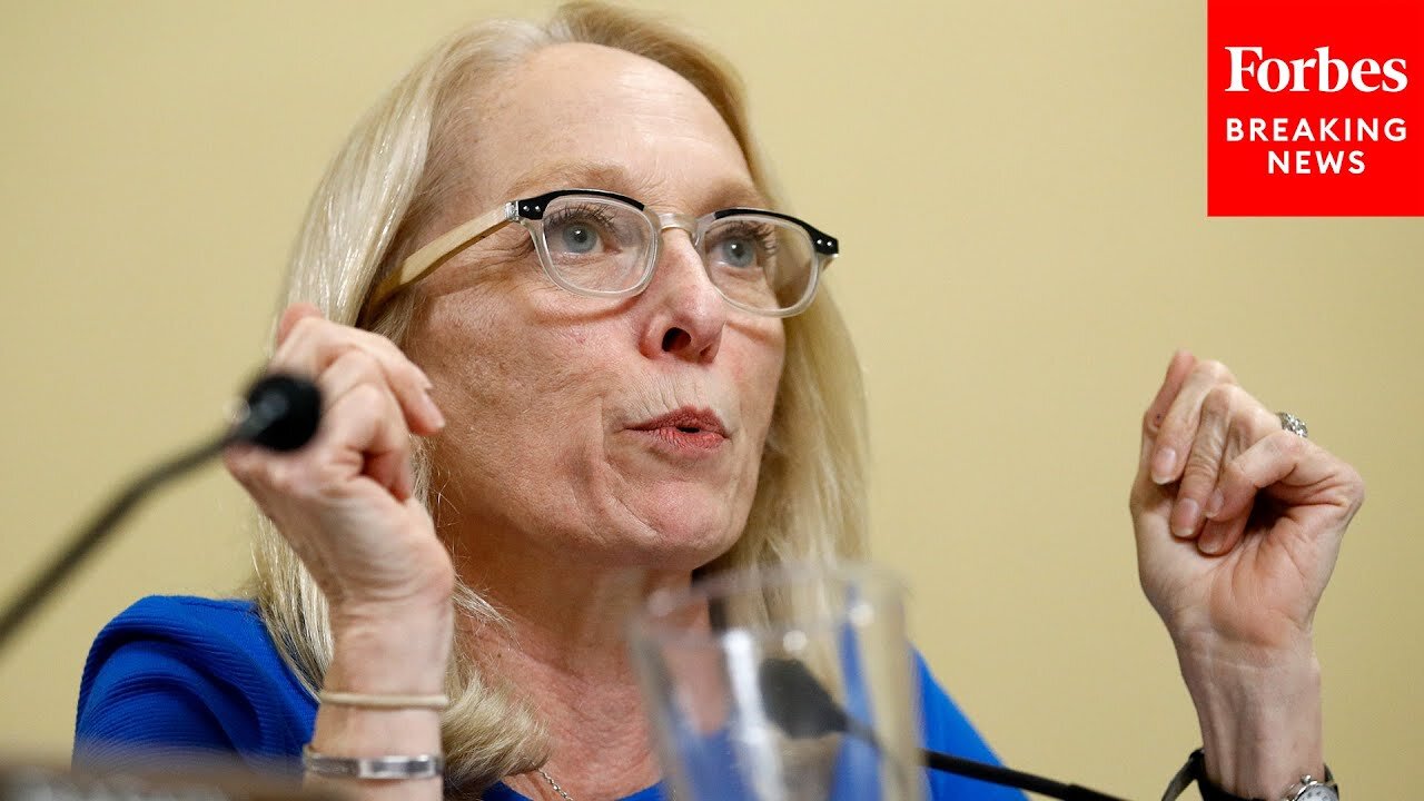 'Deeply Troubling Patterns': Mary Gay Scanlon Speaks About Capitol Police Preparation