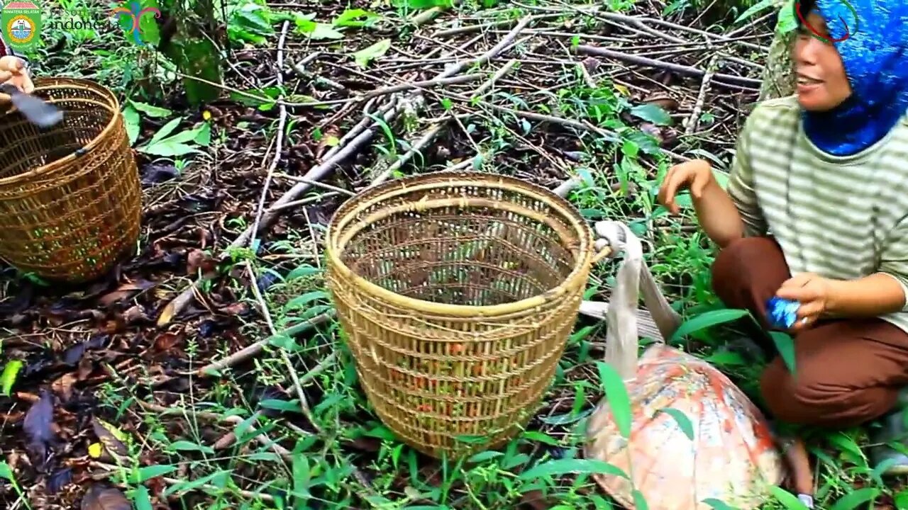 *SELINJANGAN # LAHMUDIN & NURBANAH / GITAR TUNGGAL BATANGHARI SEMBILAN SUMATERA SELATAN DAERAH OKU