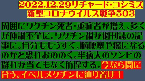 2022.12.29 リチャード・コシミズ新型コロナウイルス戦争５０３