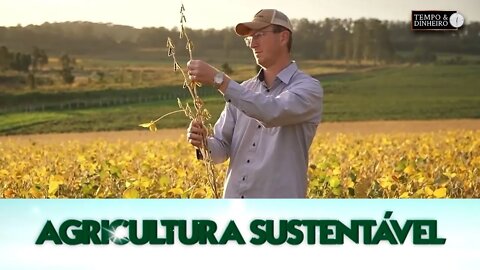 FT Sementes destaca suas cultivares de soja mais precoces para o aumento da produção