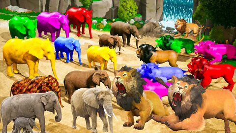 6 Zombie Elephants vs 5 Zombie Lions Attack on Baby Tiger Elephant Animals Race Epic Fight Battle