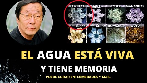 Científicos Revelan que el Agua está viva y tiene Memoria