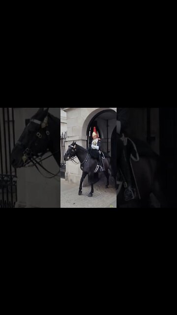 stand back from the Queen's life guard do not touch the reins #horseguardsparade