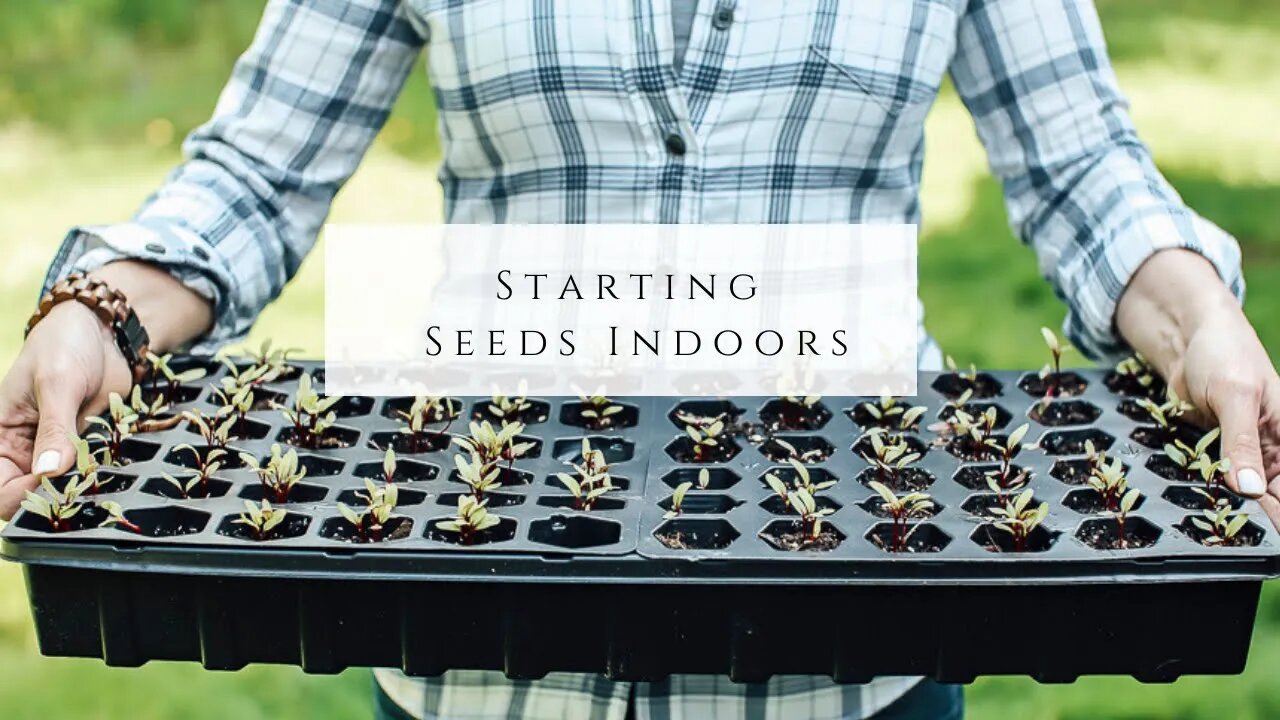 Starting Seeds Indoors