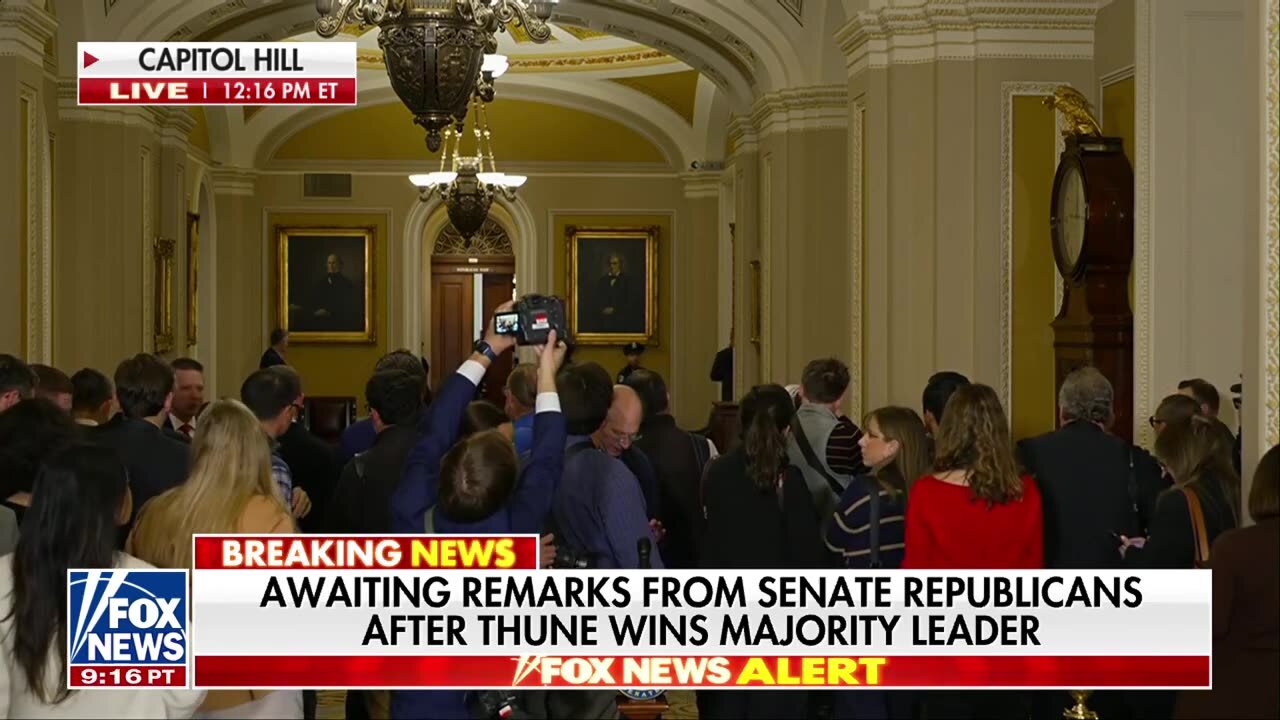 Senate Republicans pick new majority leader - John Thune