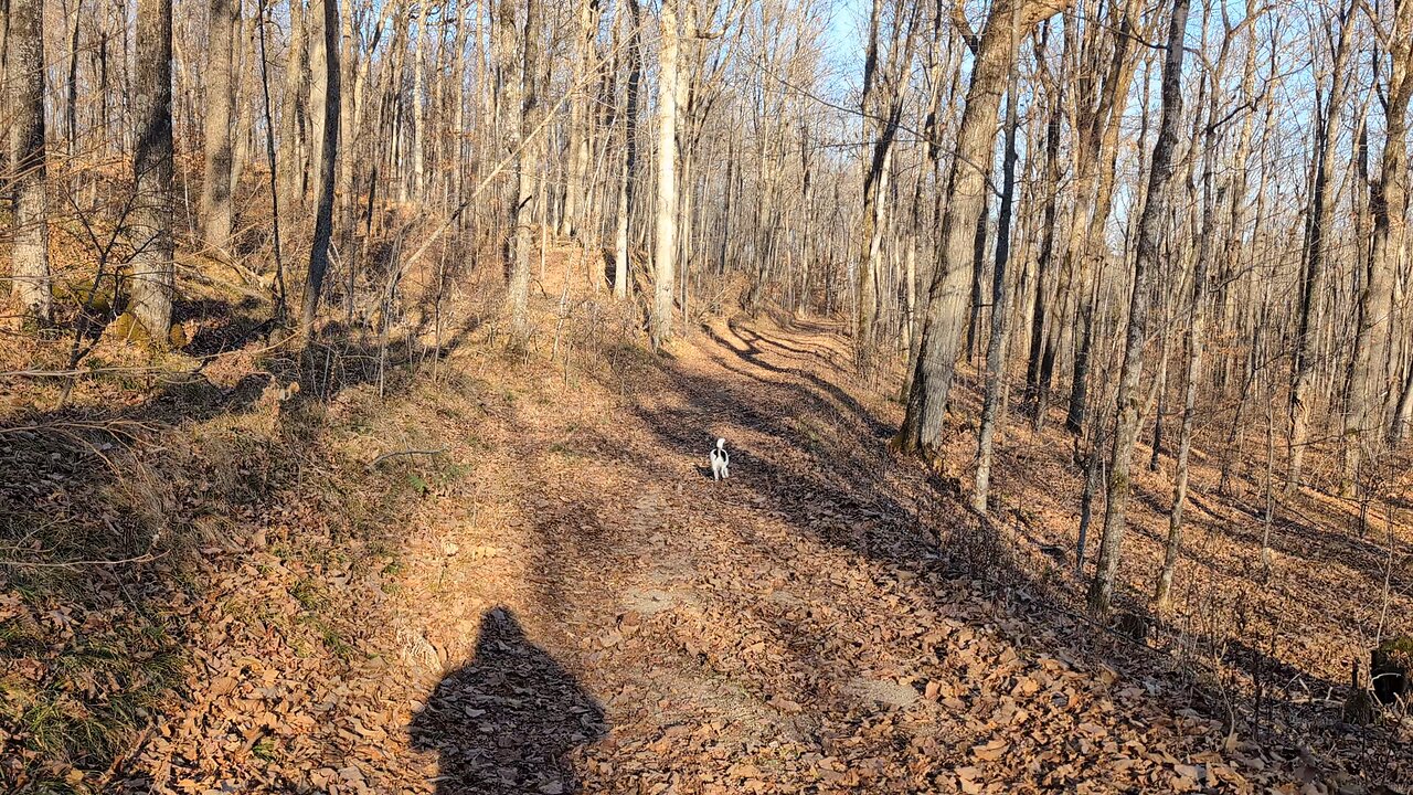 Walk on North Frontenac, On