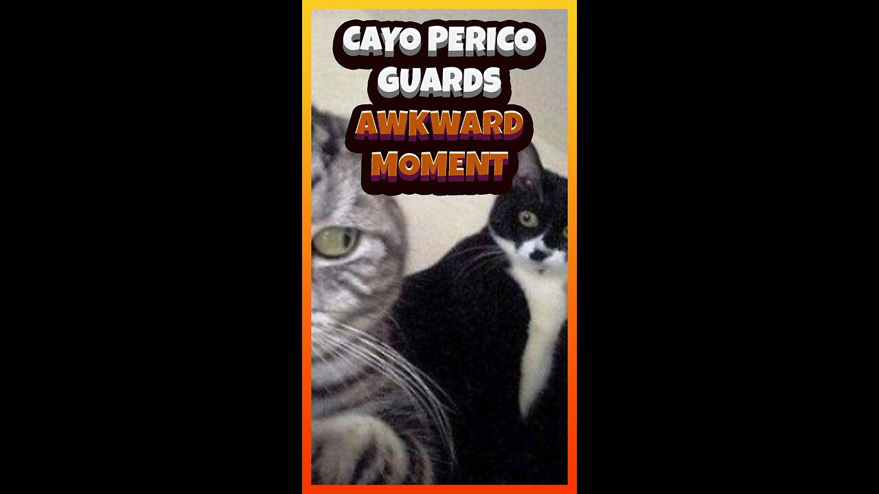 👀 The Cayo Perico guards, an awkward moment | Funny #GTA5 clips Ep.252 #gtamoneyglitch