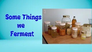 2023 Some Things We Ferment: What Can be Fermented?