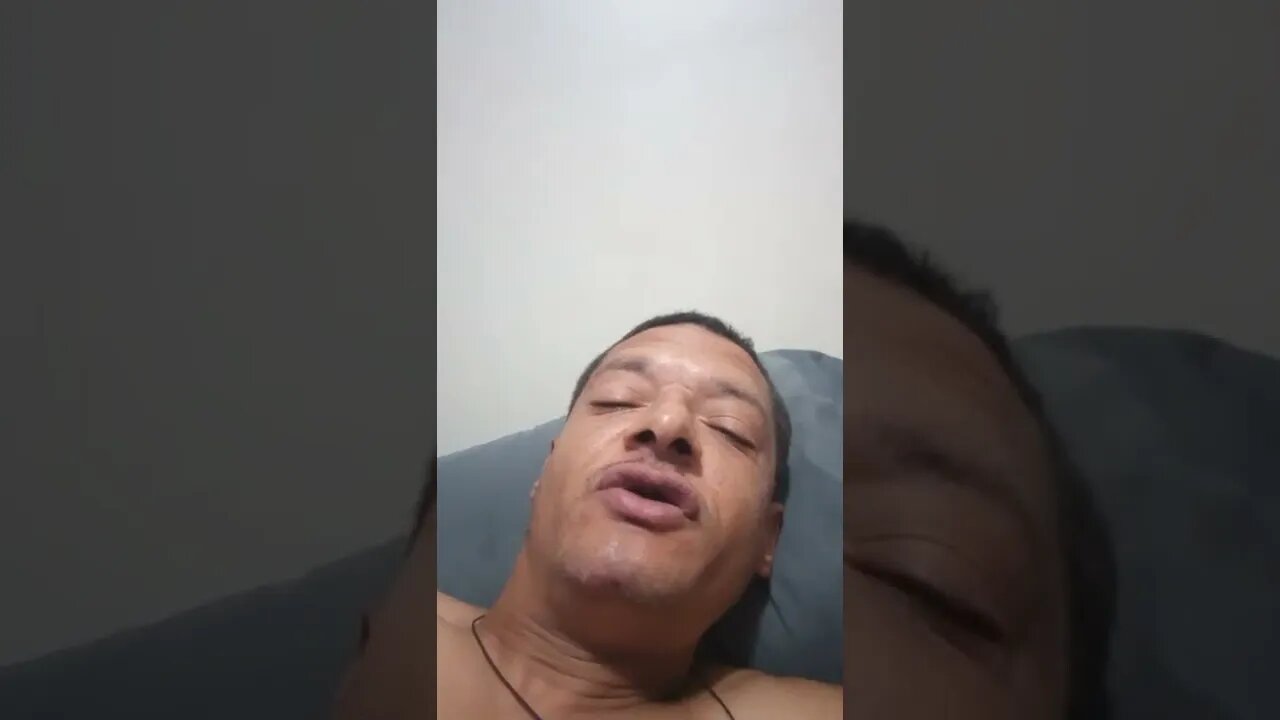 Wonderland Gardens update